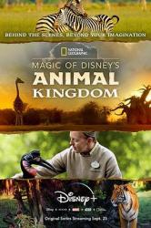 迪士尼动物王国海报