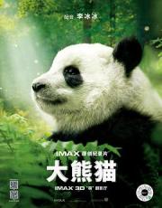 大熊猫海报