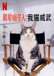 最爱喵星人：我猫威武海报