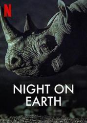 地球的夜晚海报